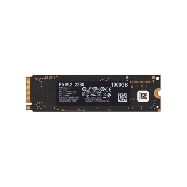 CT1000P5SSD8